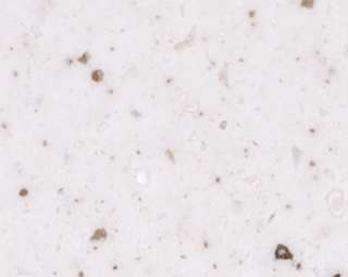 Фото Искусственный камень Pluton T-068 Rice Cookie