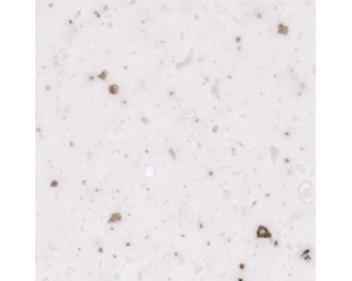 Фото Искусственный камень Pluton T-068 Rice Cookie