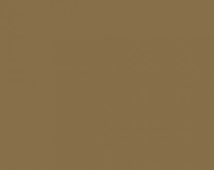 Искусственный камень LG Hi Macs s104 Toffee Brown: фото